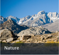 Canvas Prints - Nature