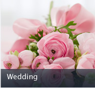 Canvas Prints - Wedding